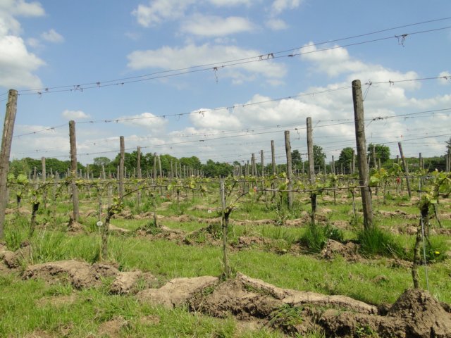 HWK 2012 300.jpg